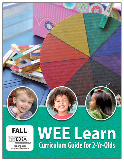 Wee Learn Curriculum